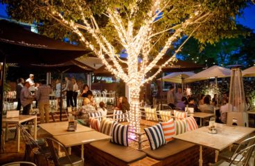 Normans_Garden_Bar_Night-705x470