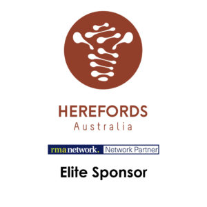 Sponsor type logos for sponsor page17